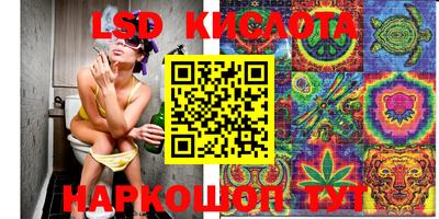 дурь Гатчина
