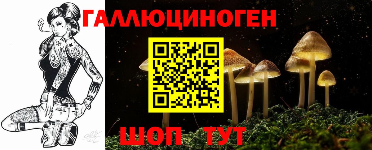 Галлюциногенные грибы MAGIC MUSHROOMS Нижний Новгород