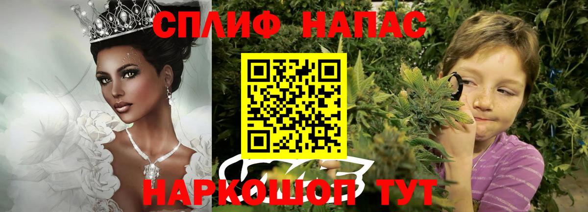 Канабис план Нижний Новгород